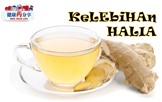 Featured image for Kelebihan Halia Yang Mungkin Anda Tidak Tahu