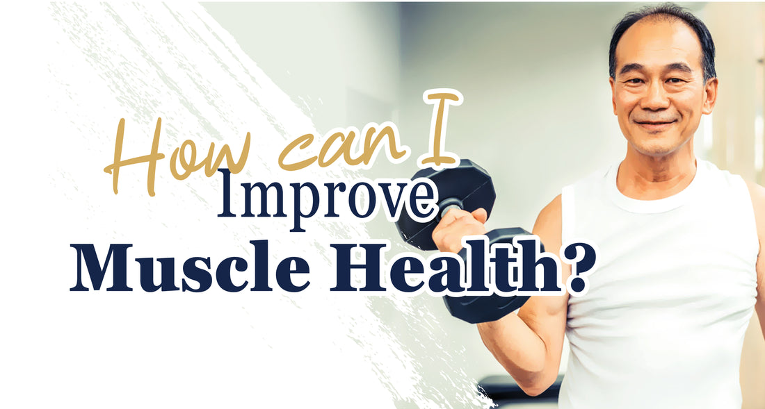 Featured image for How can I build healthy muscles?