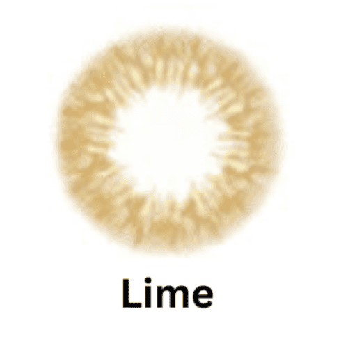 00778558_L_3_6298