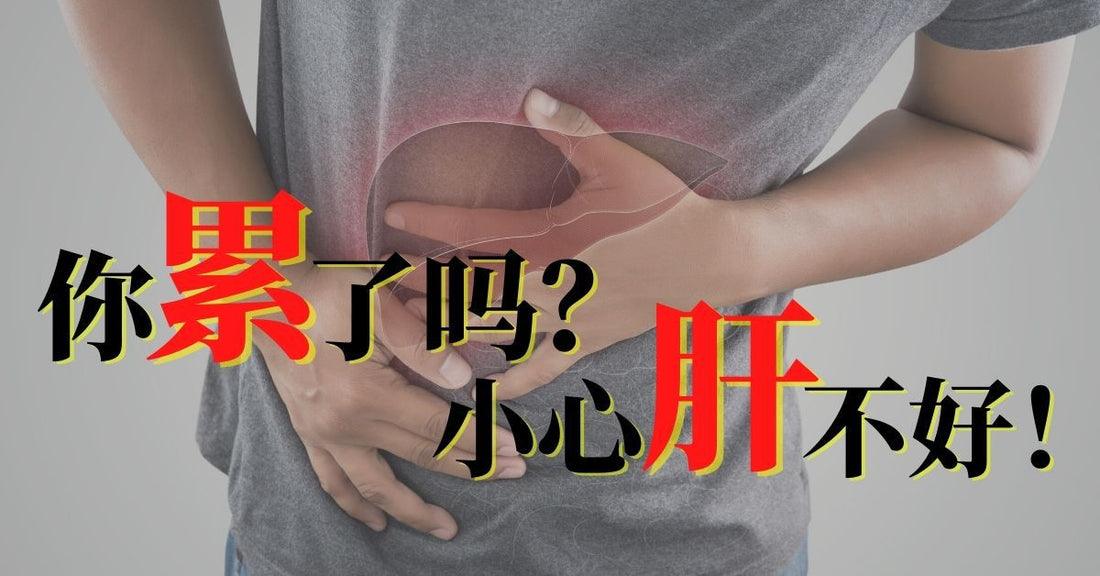 Featured image for 你累了吗？小心肝不好！