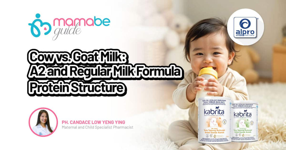 Featured image for Cow vs. Goat Milk: Understanding Protein’s Role in Baby Digestion