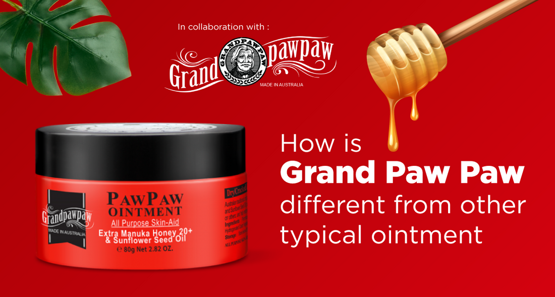 Featured image for How is Grand Paw Paw Different from Other Typical Ointment