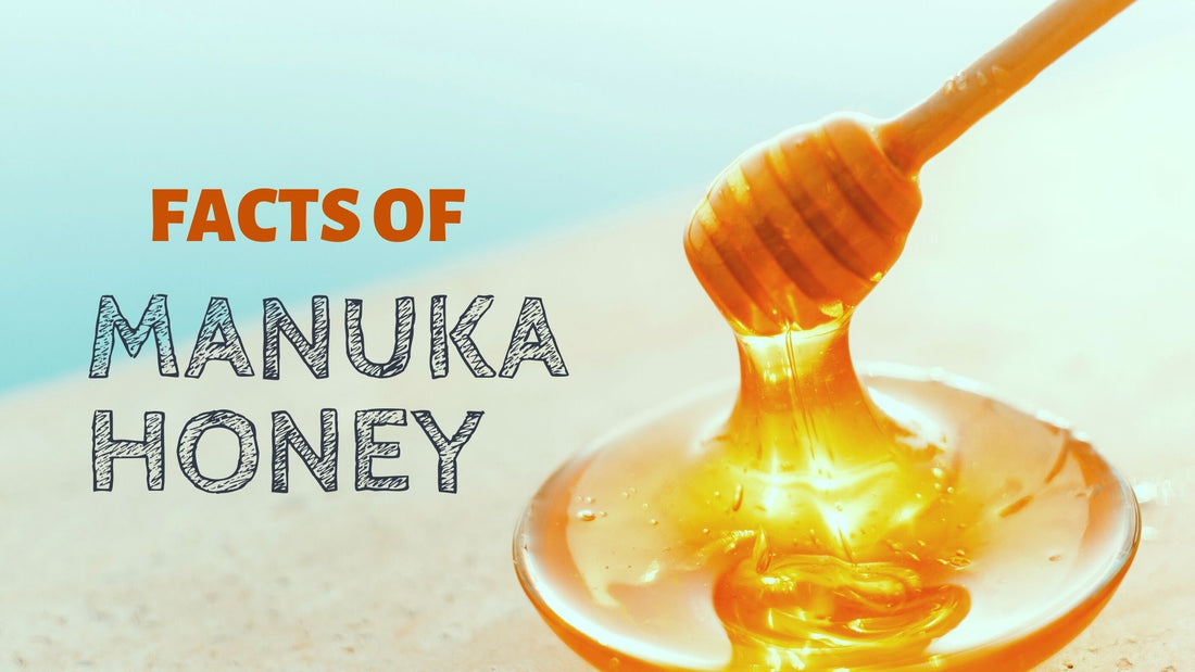 Featured image for Facts Of Manuka Honey