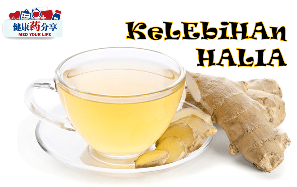 Featured image for Kelebihan Halia Yang Mungkin Anda Tidak Tahu