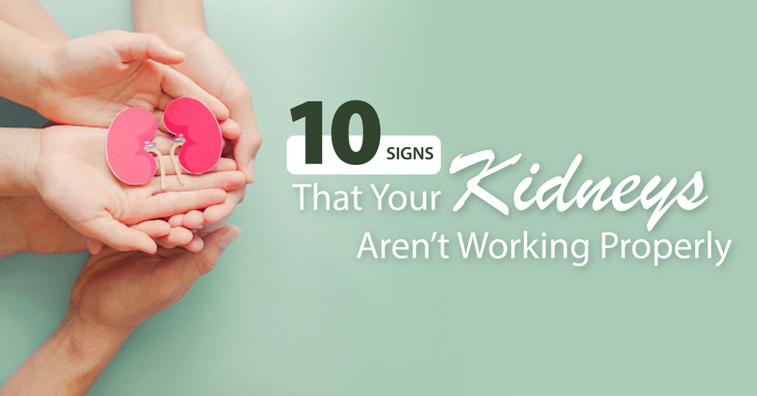Featured image for 10 Signs That Your Kidneys Aren’t Working Properly