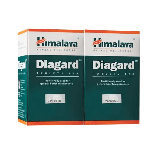 hisamitsu-salonpas-patch-l-size-2s