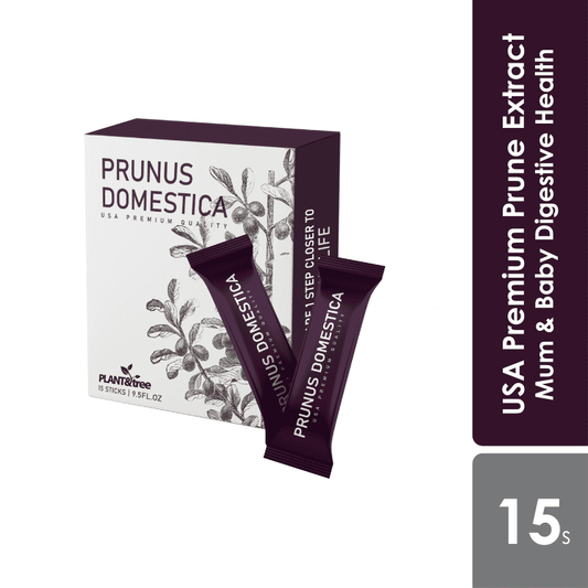 prunus-domestica-18g-15s
