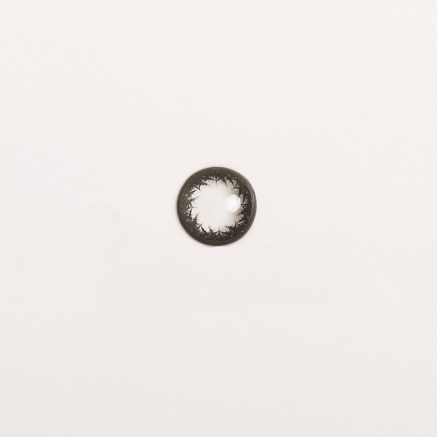 00780162_L_3_6175
