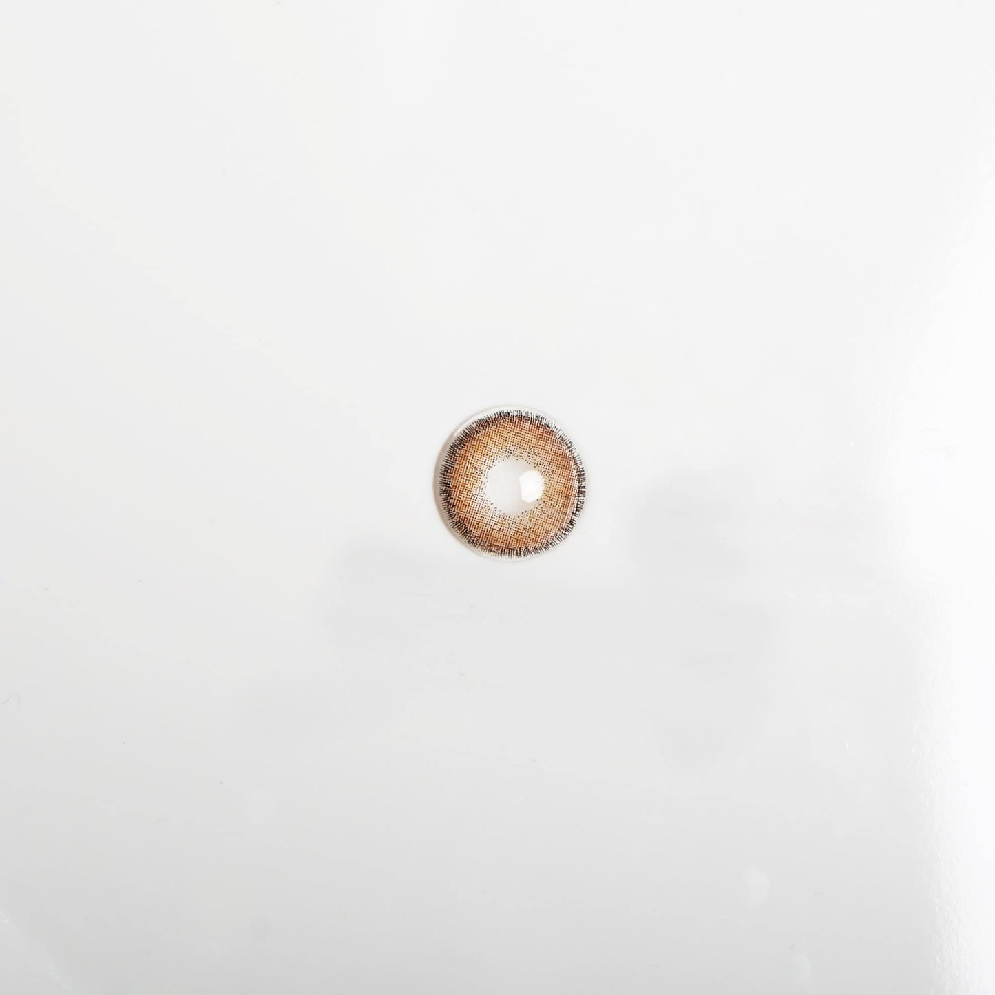 00780636_L_3_1739