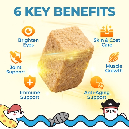 Ramboo Ocean Feast Premium Freeze-Dried Cat & Dog BARF Diet 100g | Supports Muscle Growth & Gut Health RAMBOO