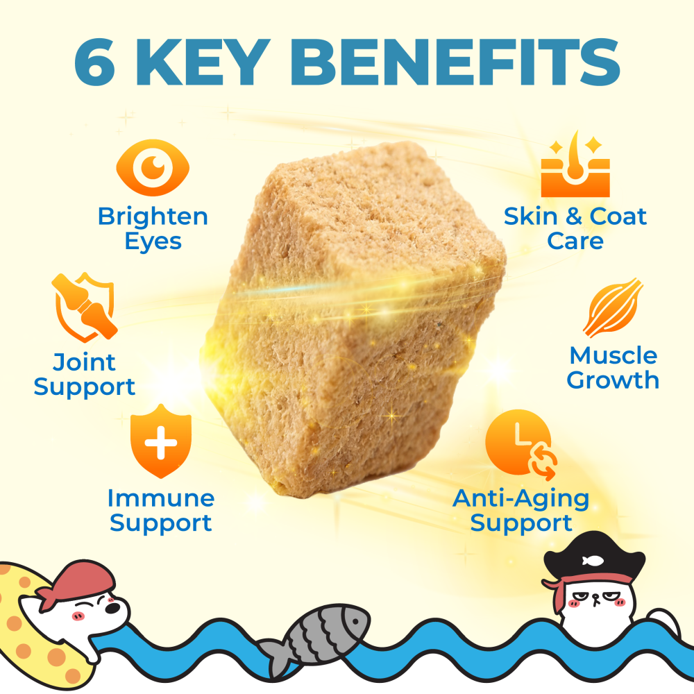 Ramboo Ocean Feast Premium Freeze-Dried Cat & Dog BARF Diet 100g ×4packs | Supports Muscle Growth & Gut Health RAMBOO