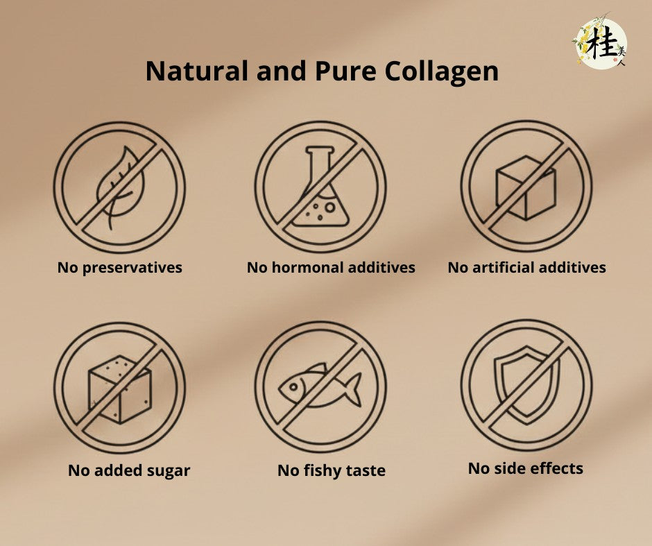 Beauty Blossom Collagen - Fish Scale Collagen Jelly 150ml (Longan Red Dates 3s + White Peach Oolong 3s) | Natural Fish C Beauty Blossom