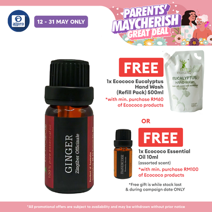 ecococo Ginger Essential Oil 10ml | Helps To Relieve Muscle Pain ecococo