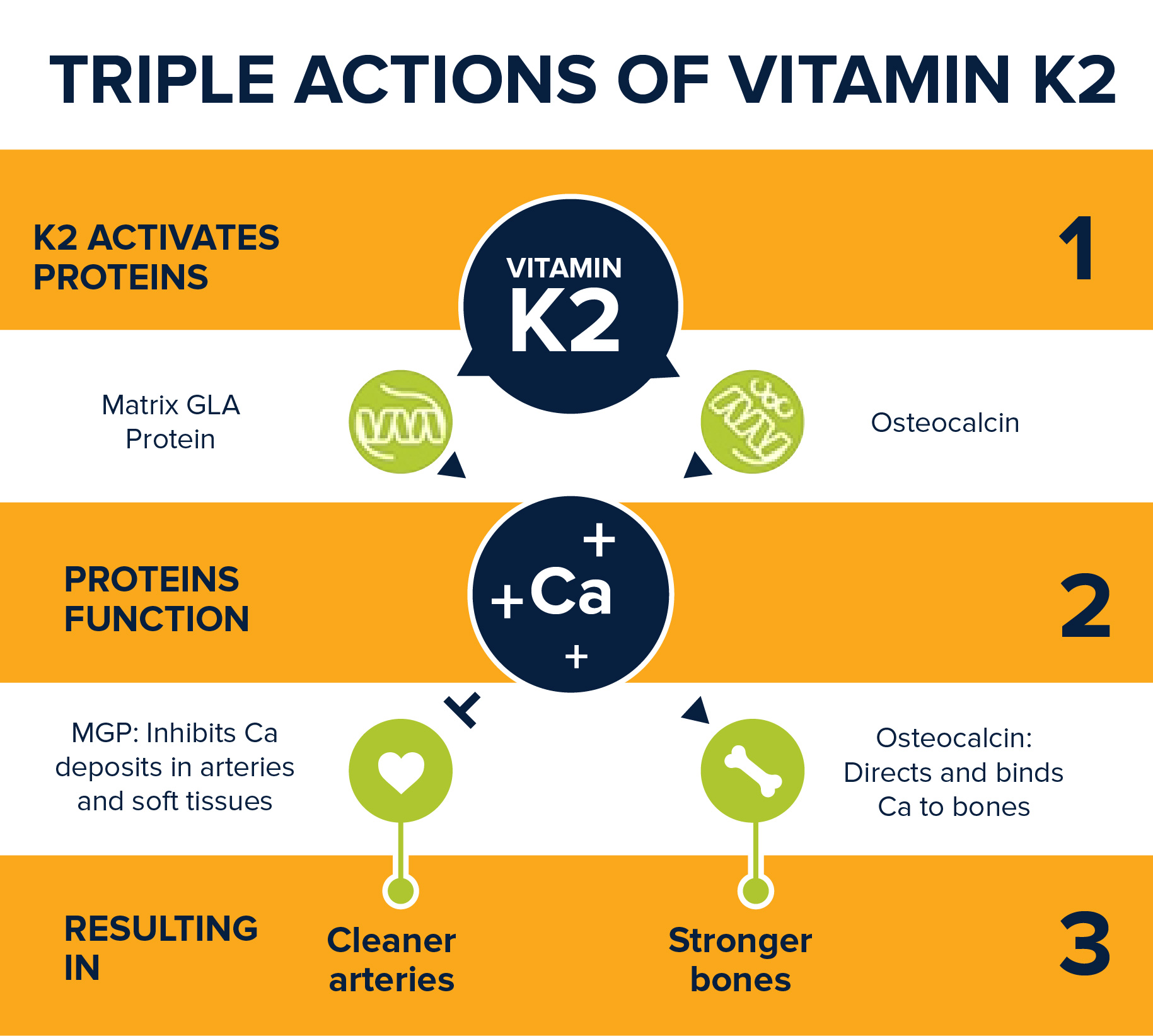 Vitamin K2 And D3 Benefits at Reginald Robbins blog