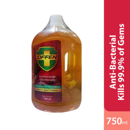 Offen Antibacterial Fogging Disinfectant Liquid 750ml 3s | Kills 99.9% Of Fungi, Viruses & Bacteria