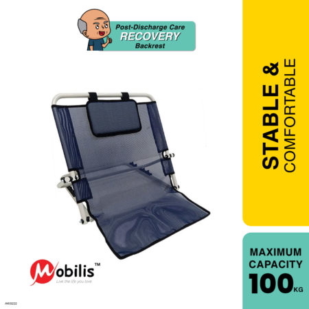 Mobilis Backrest With Pillow F-10